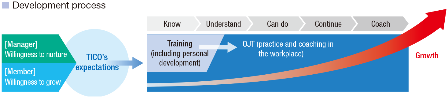 Development process
